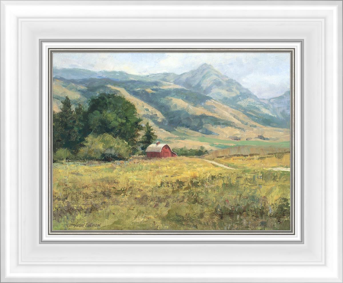 Red Barn in The Wilderness