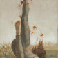 Fallen Angel