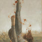 Fallen Angel