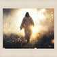 The Path