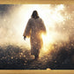 The Path