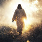 The Path