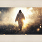 The Path