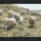 In Green Pastures
