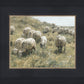 In Green Pastures
