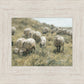 In Green Pastures