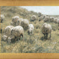 In Green Pastures