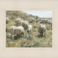 In Green Pastures