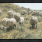 In Green Pastures