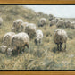 In Green Pastures
