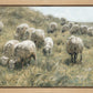 In Green Pastures