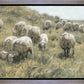 In Green Pastures