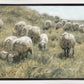 In Green Pastures