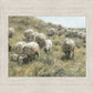 In Green Pastures