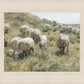 In Green Pastures
