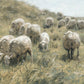 In Green Pastures