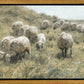 In Green Pastures