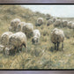 In Green Pastures