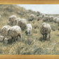 In Green Pastures