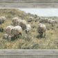In Green Pastures