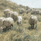 In Green Pastures