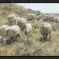 In Green Pastures