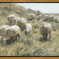 In Green Pastures