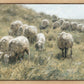 In Green Pastures