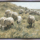 In Green Pastures