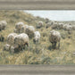 In Green Pastures