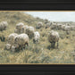 In Green Pastures