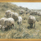 In Green Pastures