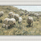 In Green Pastures