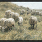 In Green Pastures