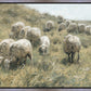 In Green Pastures