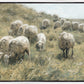 In Green Pastures