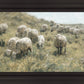 In Green Pastures