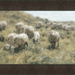 In Green Pastures