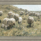 In Green Pastures