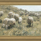 In Green Pastures