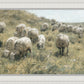 In Green Pastures