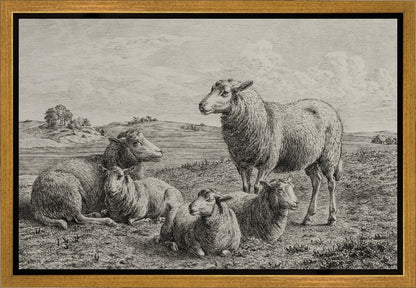 The Lamb of God Gallery Wrap