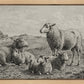 The Lamb of God