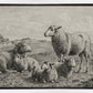 The Lamb of God