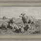 The Lamb of God