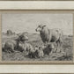 The Lamb of God