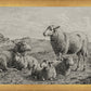 The Lamb of God