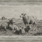 The Lamb of God