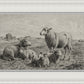 The Lamb of God