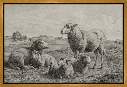 The Lamb of God